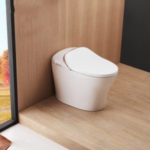 Bồn cầu thông minh có bồn chứa nước CASTEL VIETNAM C21186W-3CM-VP