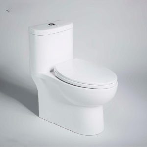 Bồn cầu một khối CASTEL VIETNAM C2168XW-3B-ENG