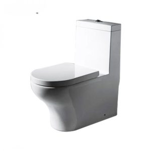 Bồn cầu một khối CASTEL VIETNAM C2181UW-3B-ENG