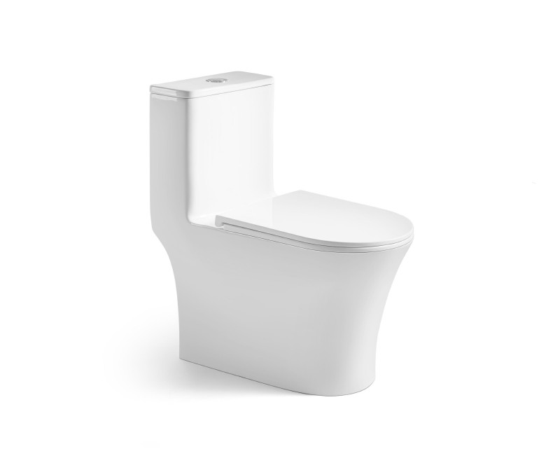 Bon-cau-mot-khoi-Bravat-C21400W-3-ENG