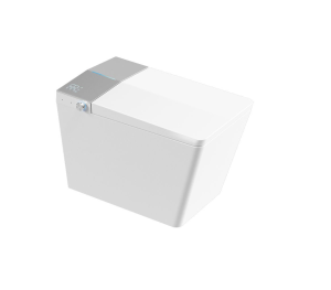 Bồn cầu thông minh Castel Vietnam F2 (Smart Toilet)