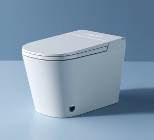 Bồn cầu thông minh Castel Vietnam K6(Smart Toilet)