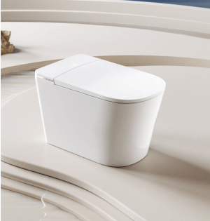 Bồn cầu thông minh Castel Vietnam M2 (Smart Toilet)