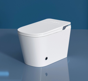 Bồn cầu thông minh Castel Vietnam M6 (Smart Toilet)