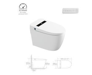 Bồn cầu thông minh Castel Vietnam 941 (Smart Toilet)
