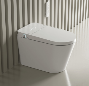 Bồn cầu thông minh Castel Vietnam T2 (Smart Toilet)