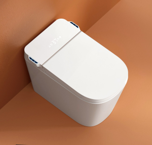 Bồn cầu thông minh Castel Vietnam U6 (Smart Toilet)