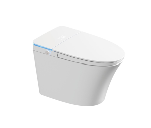 Bồn cầu thông minh Castel Vietnam V6 (Smart Toilet)