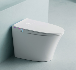 Bồn cầu thông minh Castel Vietnam V9 (Smart Toilet)