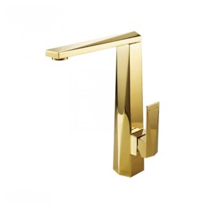 Vòi nước Castel VietNam Single Handle Kitchen Mixer F776110G-2