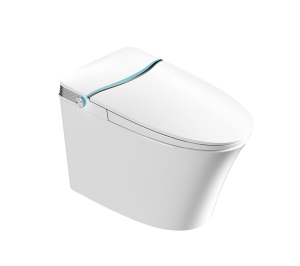 Bồn cầu thông minh Castel Vietnam V6 (Smart Toilet)