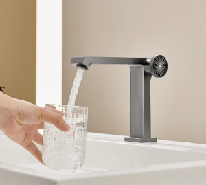 Vòi nước cao cấp Castel VietNam 30352Q