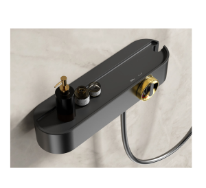 Vòi sen cao cấp Castel VietNam 30521Qa