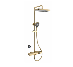 Vòi sen cao cấp Castel VietNam 31110LG