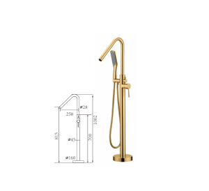 Vòi sen cao cấp Castel VietNam 32017G