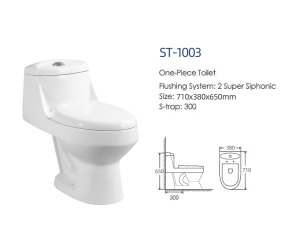 Bồn Tắm cao cấp castel VietNam ST-1003