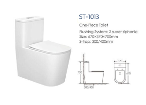 Bồn cầu cao cấp castel VietNam ST-1013