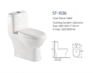 Bồn cầu cao cấp castel VietNam ST-1036