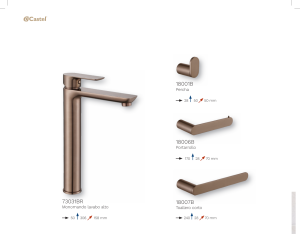 Vòi Nước Cao Cấp Castel VietNam 73031BR