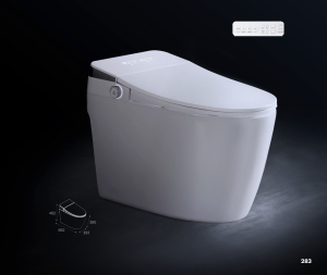 bồn cầu thông minh cao cấp Castel VietNam (smart toilet)